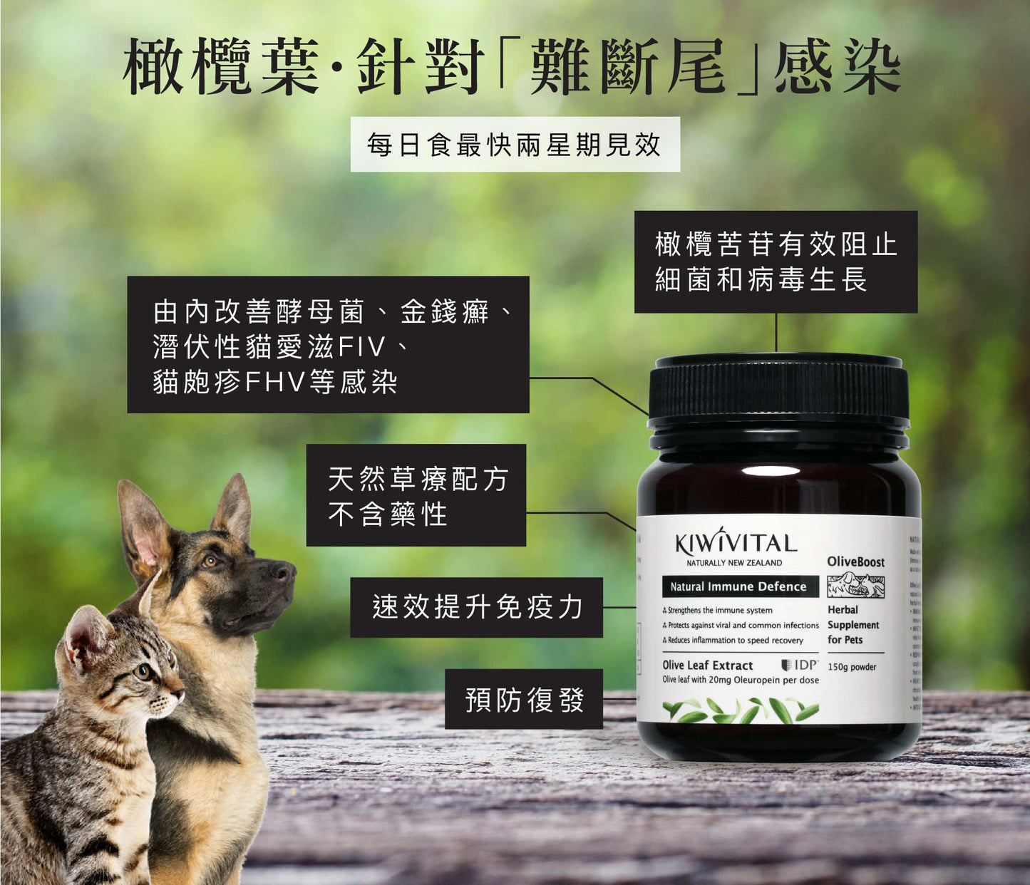 KIWIVITAL®️｜Natural Immune Defence 橄欖葉草療-提升免疫力配方 貓犬用