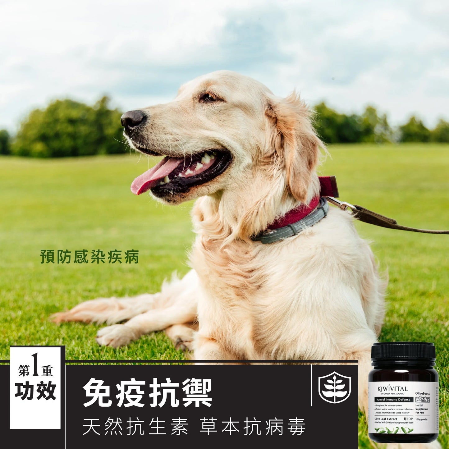 KIWIVITAL®️｜Natural Immune Defence 橄欖葉草療-提升免疫力配方 貓犬用