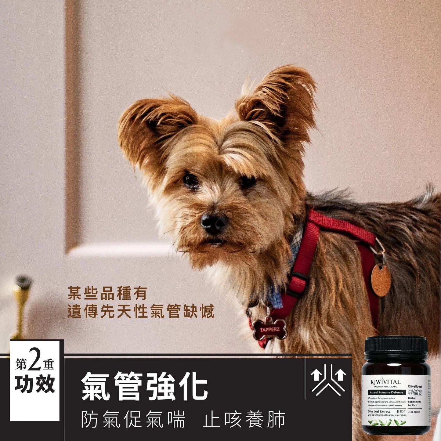 KIWIVITAL®️｜Natural Immune Defence 橄欖葉草療-提升免疫力配方 貓犬用