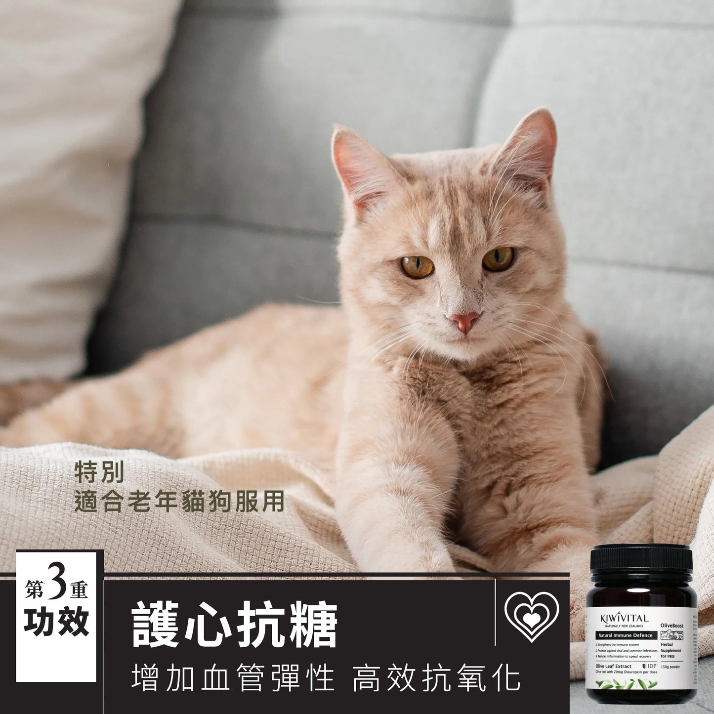 KIWIVITAL®️｜Natural Immune Defence 橄欖葉草療-提升免疫力配方 貓犬用